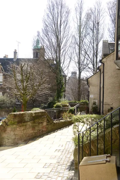 DSC_7350 (Large).JPG